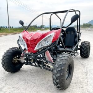 300 cc Gokart