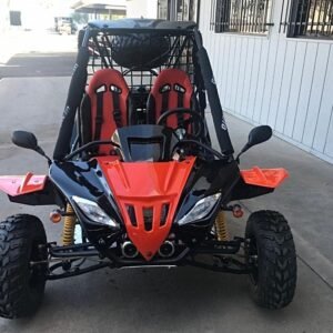250cc Gokart